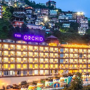 The Orchid Shimla